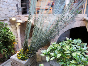 Temps de Flors 2017. Muntatges florals als diversos espais de la Casa Lle&oacute; Avinay, al Call jueu