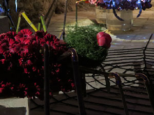 Temps de Flors 2017. Muntatges florals als diversos espais de la Casa Lle&oacute; Avinay, al Call jueu