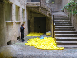 Temps de Flors 2017. Making of de l'esdeveniment