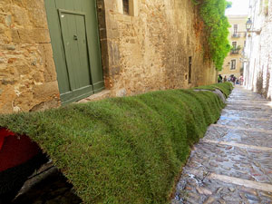 Temps de Flors 2017. Making of de l'esdeveniment