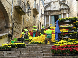 Temps de Flors 2017. Making of de l'esdeveniment