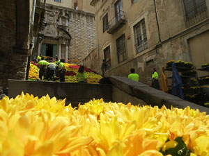 Temps de Flors 2017. Making of de l'esdeveniment