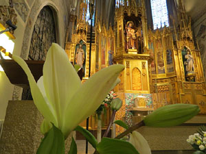 Temps de Flors 2017. Instal·lacions i muntatges florals al Centre geriàtric Maria Gay