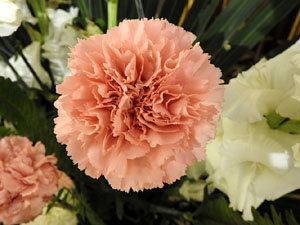 Temps de Flors 2017. Instal·lacions i muntatges florals al Centre geriàtric Maria Gay