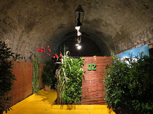 Temps de Flors 2017. Instal&middot;lacions als espais del Museu d'Hist&ograve;ria La Carbonera i La Cisterna