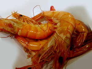 Temps de Flors 2017. Nit de Flors i Sabors al Mercat del Lle&oacute;