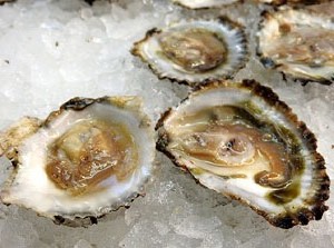 Temps de Flors 2017. Nit de Flors i Sabors al Mercat del Lle&oacute;