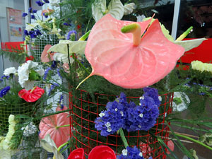 Temps de Flors 2017. Nit de Flors i Sabors al Mercat del Lle&oacute;