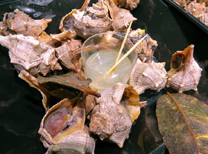 Temps de Flors 2017. Nit de Flors i Sabors al Mercat del Lle&oacute;