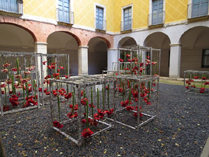 Temps de Flors 2017. Instal&middot;lacions i muntatges florals al claustre del Centre Cultural La Merc&egrave;