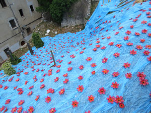 Temps de Flors 2017. Instal·lacions i muntatges al Mirador del Carrer de les Dones