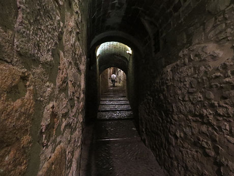 Temps de Flors 2017. L'esdeveniment, de nit