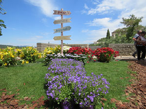 Temps de Flors 2017. Instal&middot;lacions i decoracions florals als diversos espais del Passeig Arqueol&ograve;gic