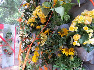 Temps de Flors 2017. Instal&middot;lacions i decoracions florals als diversos espais del Passeig Arqueol&ograve;gic