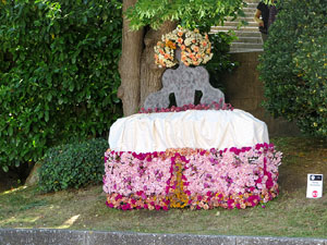 Temps de Flors 2017. Instal&middot;lacions i decoracions florals als diversos espais del Passeig Arqueol&ograve;gic
