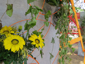 Temps de Flors 2017. Instal&middot;lacions i decoracions florals als diversos espais del Passeig Arqueol&ograve;gic