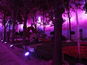 Temps de Flors 2017. Decoraci&oacute; floral del Pati de les Magn&ograve;lies, a la Seu del Govern de la Generalitat de Catalunya a Girona, amb azalees de Gant, B&egrave;lgica