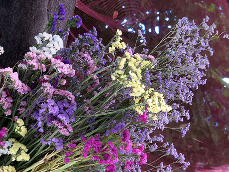 Temps de Flors 2017. Instal&middot;lacions i muntatges als espais de la Rambla de la Llibertat