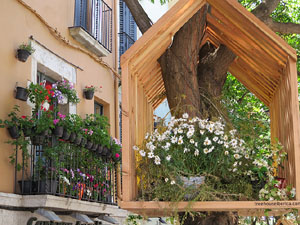 Temps de Flors 2017. Instal&middot;lacions i muntatges als espais de la Rambla Verdaguer