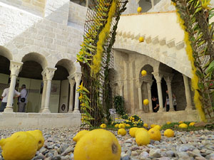 Temps de Flors 2017. Instal&middot;lacions i decoracions florals al claustre rom&agrave;nic del monestir de Sant Daniel