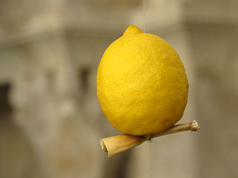 Detall de la instal&middot;laci&oacute; al claustre