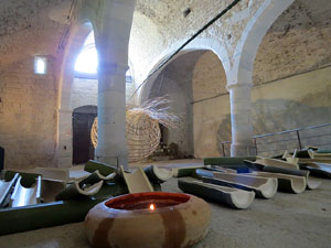 Temps de Flors 2017. Instal·lació Crisàlide a l'interior de la capella de Santa Llúcia