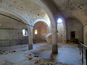 Temps de Flors 2017. Instal·lació Crisàlide a l'interior de la capella de Santa Llúcia