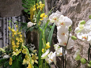 Temps de Flors 2017. Decoracions florals als baixos de l'edifici de les Sarraïnes