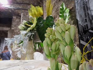 Temps de Flors 2017. Decoracions florals als baixos de l'edifici de les Sarraïnes