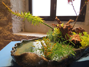 Temps de Flors 2017. Decoracions orientals al primer pis de l'edifici de les Sarra&iuml;nes