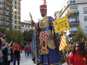 Fires 2017. 36a. Trobada de Gegants de Fires de Sant Narcís