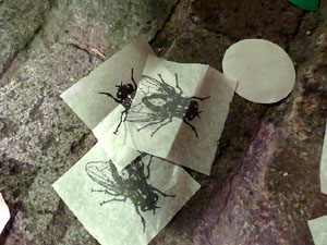 Fires 2017. Ballades de capgrossos, gegants i far&agrave;ndula a la pla&ccedil;a del Vi