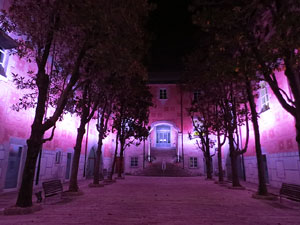 Nadal 2017. La decoració nadalenca dels carrers