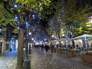 Nadal 2017. La decoració nadalenca dels carrers