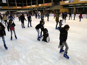 Nadal 2017. Pista de gel i tobogan a Fira de Girona
