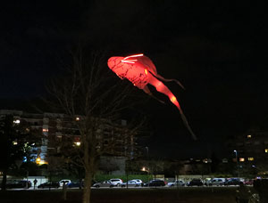 Nadal 2017 a Girona. Vibra. Festa de la llum. Espectacle de llum i m&uacute;sica