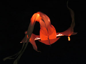 Nadal 2017 a Girona. Vibra. Festa de la llum. Espectacle de llum i m&uacute;sica