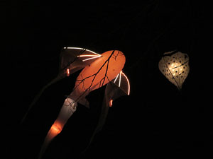 Nadal 2017 a Girona. Vibra. Festa de la llum. Espectacle de llum i m&uacute;sica