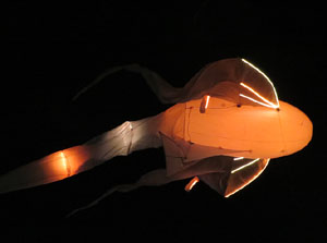 Nadal 2017 a Girona. Vibra. Festa de la llum. Espectacle de llum i m&uacute;sica