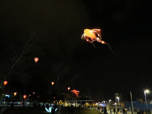 Nadal 2017 a Girona. Vibra. Festa de la llum. Espectacle de llum i m&uacute;sica