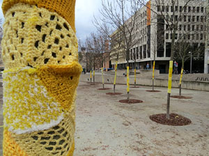 Teixint llibertats. Acci&oacute; dins de la campanya per reclamar la llibertat dels presos pol&iacute;tics a la pla&ccedil;a de la Constituci&oacute;