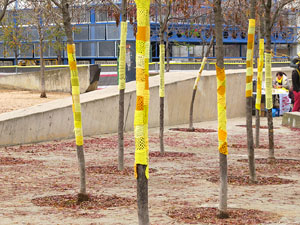 Teixint llibertats. Acci&oacute; dins de la campanya per reclamar la llibertat dels presos pol&iacute;tics a la pla&ccedil;a de la Constituci&oacute;