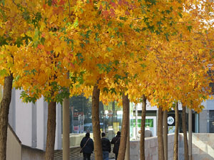 Teixint llibertats. Acci&oacute; dins de la campanya per reclamar la llibertat dels presos pol&iacute;tics a la pla&ccedil;a de la Constituci&oacute;