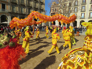 Celebraci&oacute; de l'any nou xin&egrave;s, el 4716, any del Gos, a Girona