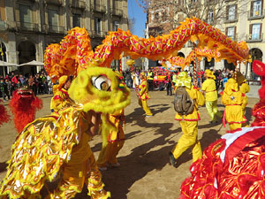 Celebraci&oacute; de l'any nou xin&egrave;s, el 4716, any del Gos, a Girona