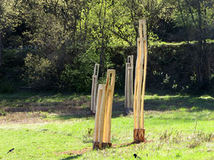 Festival Art & Gavarres 2018