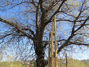 Festival Art & Gavarres 2018