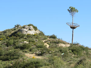 Festival Art & Gavarres 2018