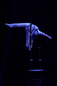 7a edici&oacute; del Festival Internacional de Circ Elefant d'Or 2018 a la Devesa de Girona