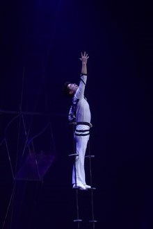 7a edici&oacute; del Festival Internacional de Circ Elefant d'Or 2018 a la Devesa de Girona